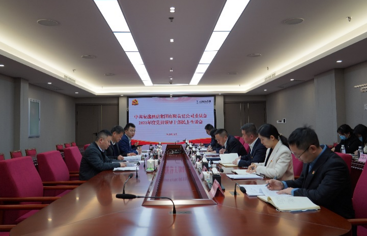 尊龙凯时集团党委书记、董事长任丁出席安逸酒店集团2022年度党员领导干部民主生活会